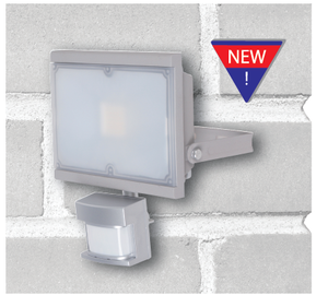 LED floodlight with sensor